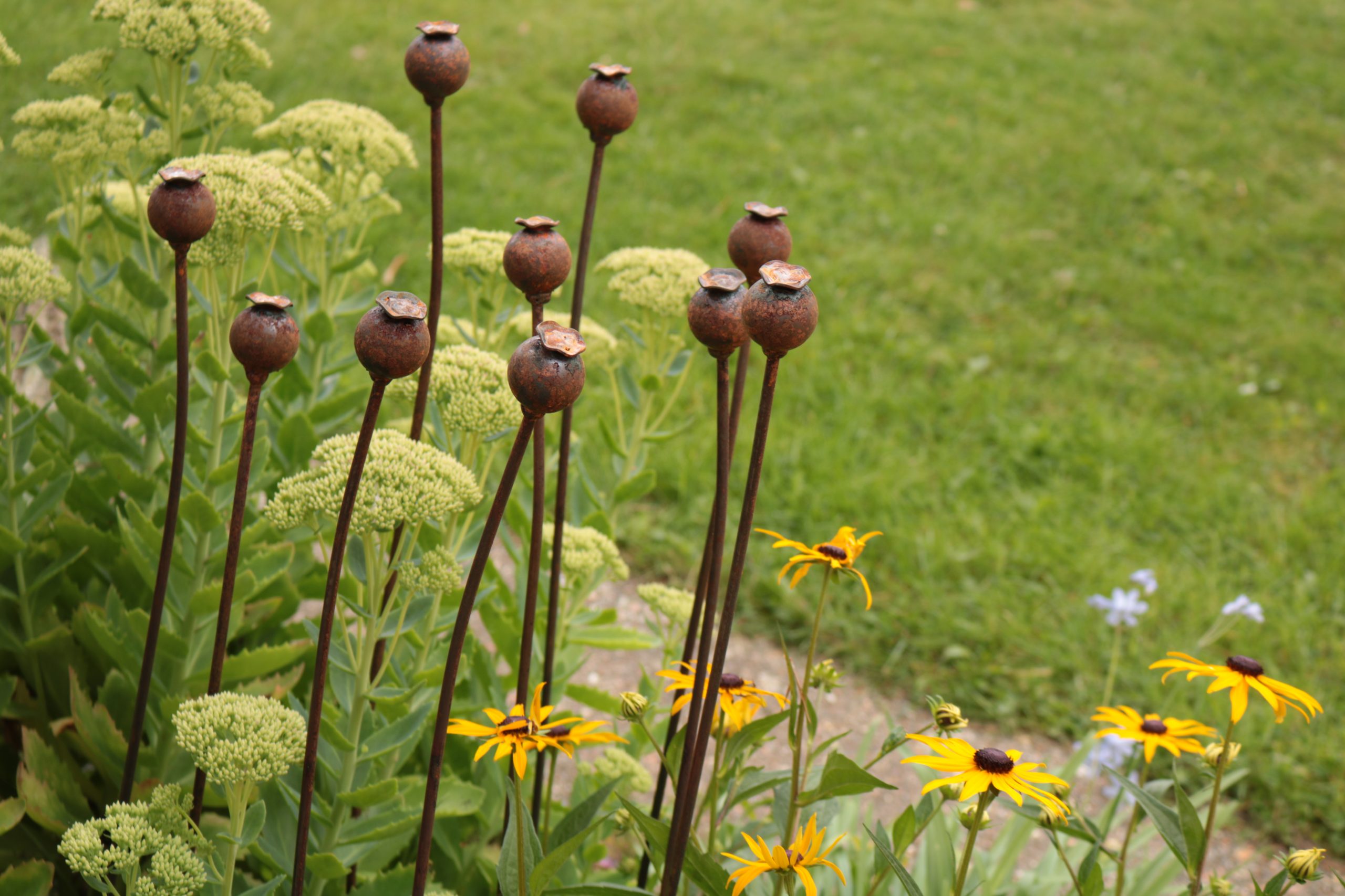 Medium Metal Poppy Seed Head