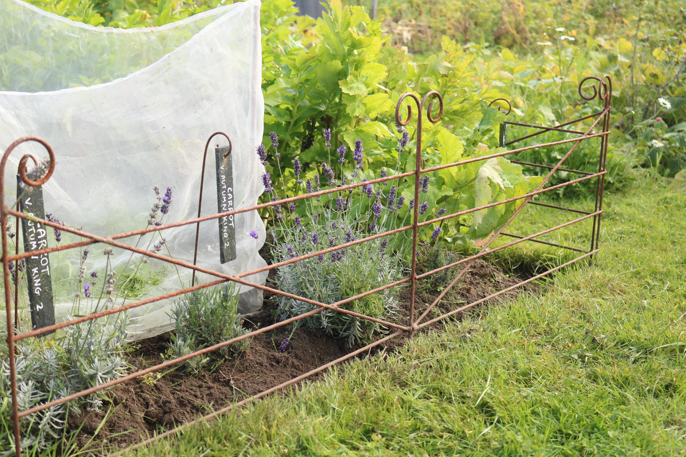 Border Edging Rusted