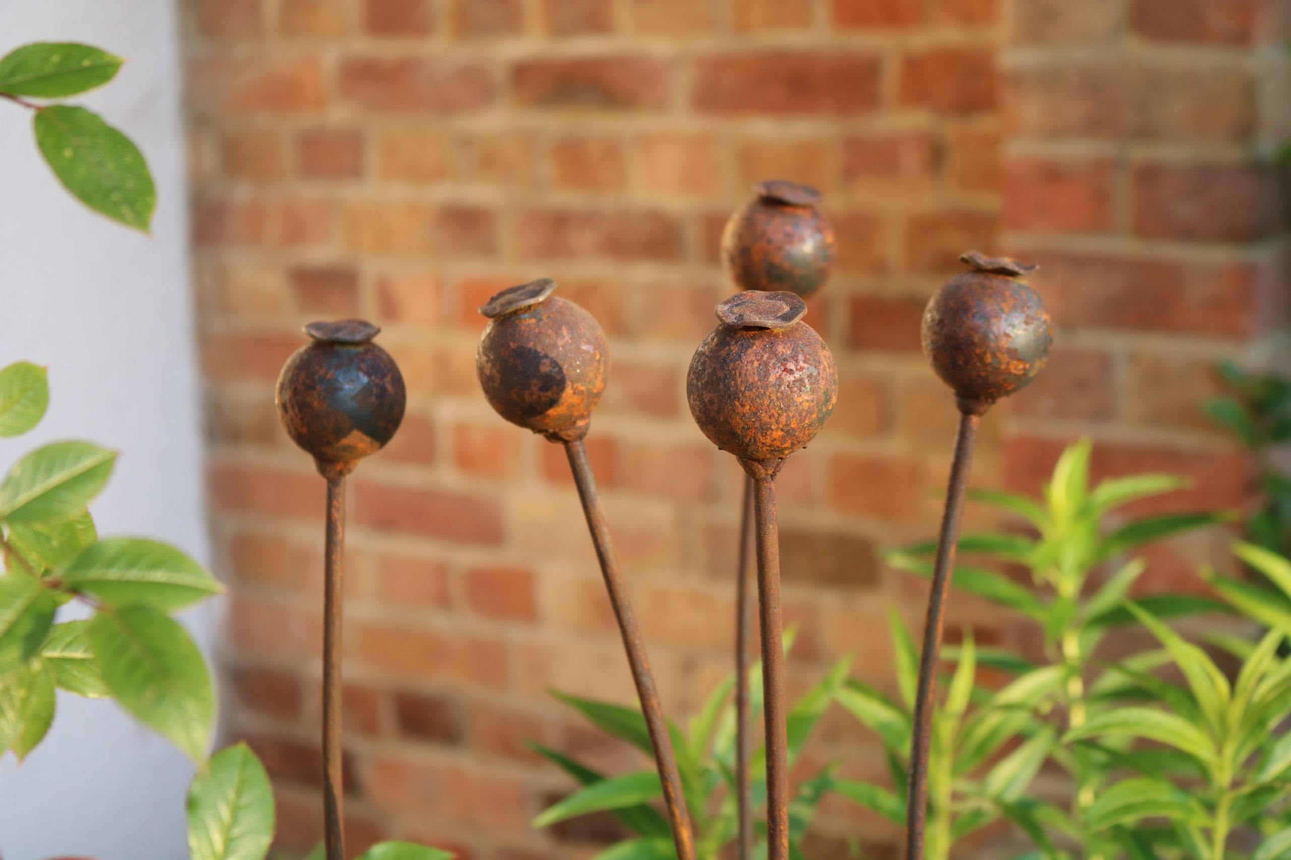 Large Metal Poppy Seed Heads